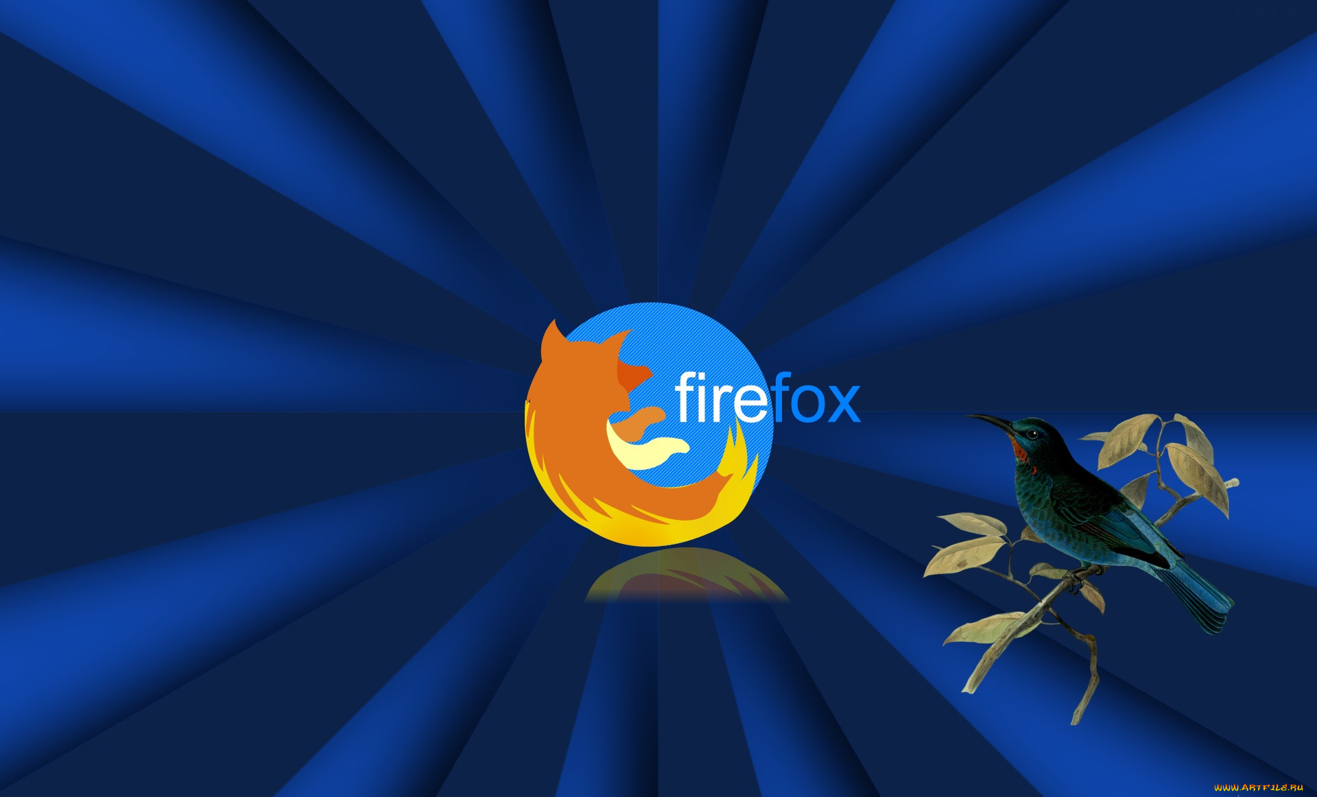 , mozilla firefox, , 